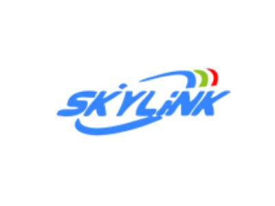 SKYLINK FPV